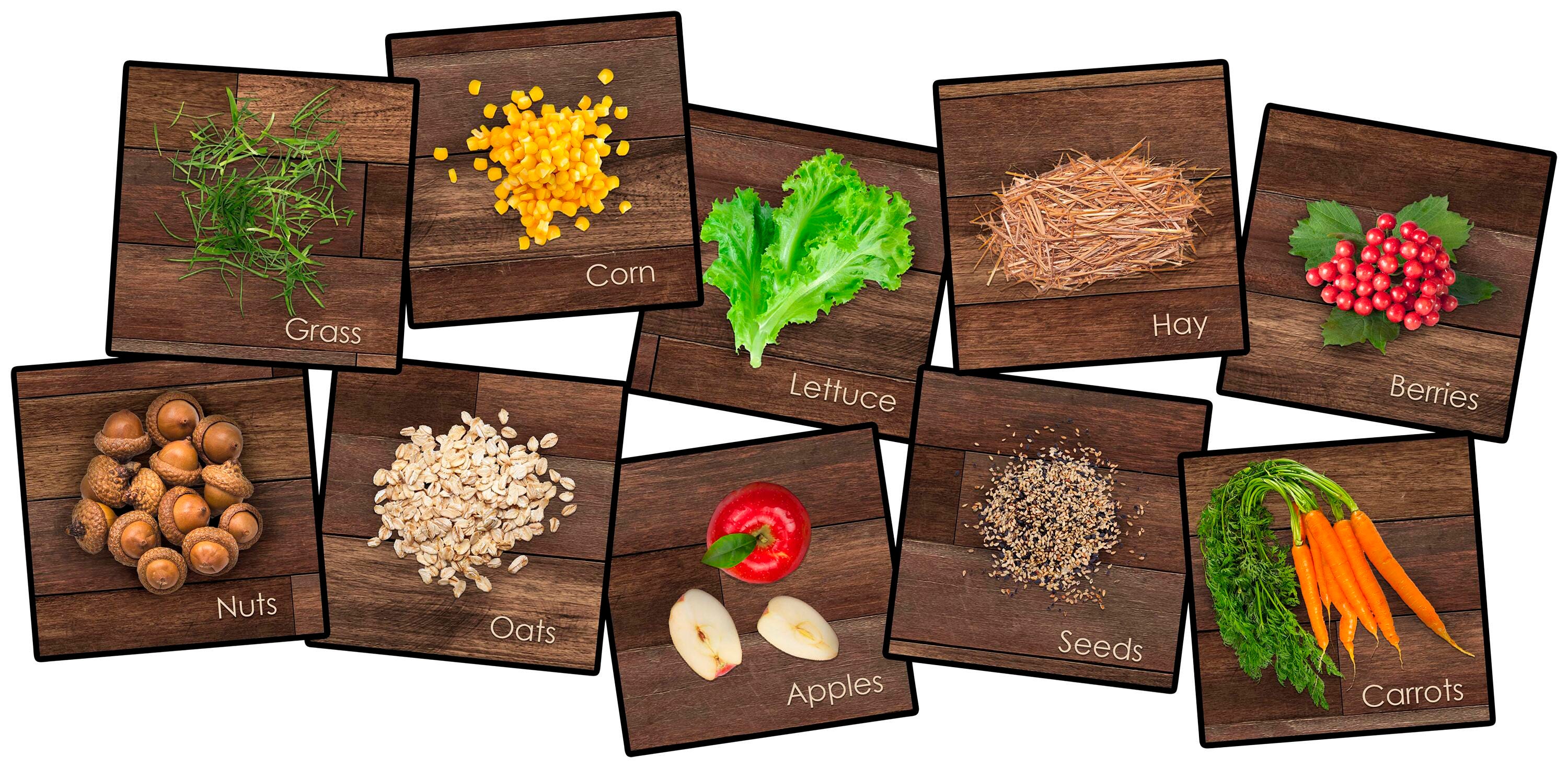 Childcraft PhotoFun Farm Friends Carpet Squares, 16 x 16 Inches, Set of 10 2027050